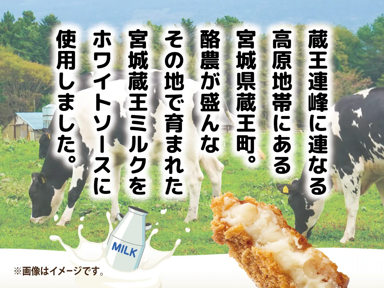 宮城蔵王ミルクのグラタンコロッケ【8袋セット】