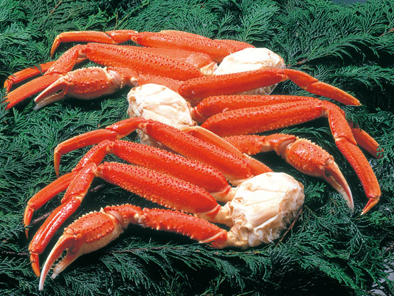 ボイルずわいがに1kg