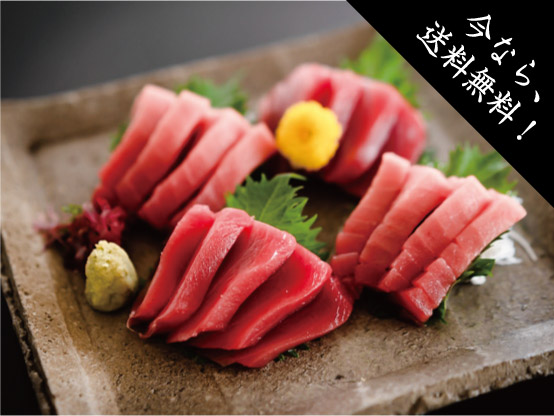 国産養殖【生】本鮪サクセット600g(冷蔵)