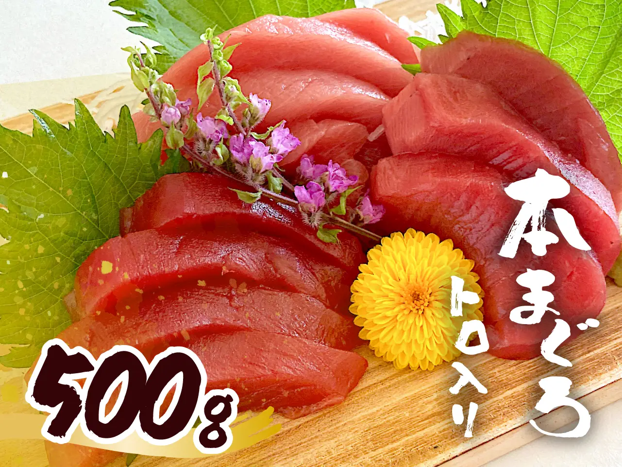 国産養殖本鮪生サクセット【A】500g（冷蔵）