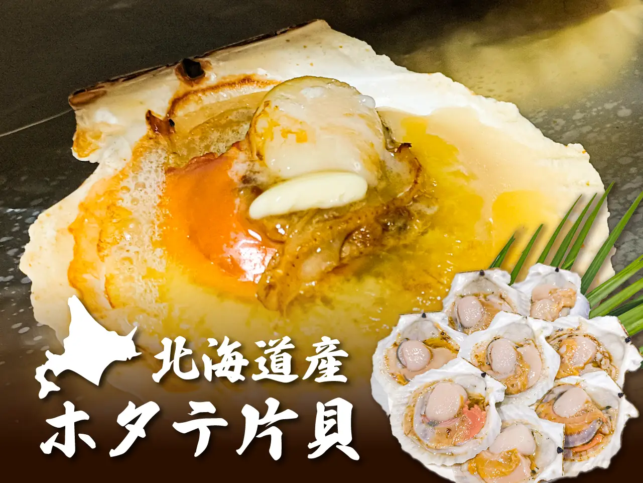 【北海道産】ホタテ片貝(8枚)【1袋】