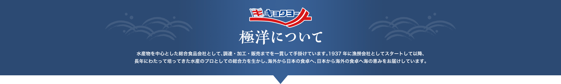水産物を中心とした総合食品会社として、調達・加工・販売までを一貫して手掛けています。1937年に漁撈会社としてスタートして以降、長年にわたって培ってきた水産のプロとしての総合力を生かし、海外から日本の食卓へ、日本から海外の食卓へ海の恵みをお届けしています。