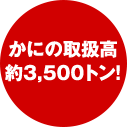 カニの取扱高 約3,500トン！