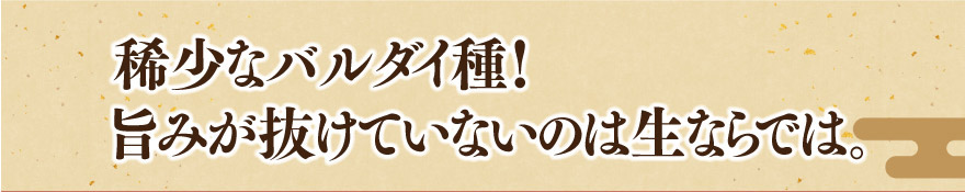 稀少なバルダイ種！旨みが抜けていないのは生ならでは