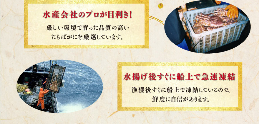 水産会社のプロが目利き！水揚げご確認の程、よろしくお願いいたします。にすぐに船上で急速凍結