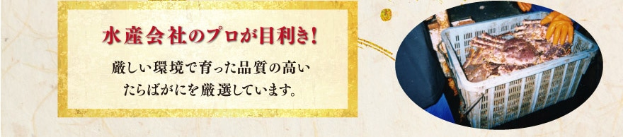 水産会社のプロが目利き