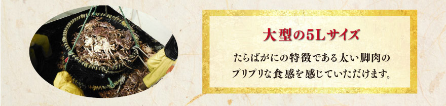 大型の5Lサイズ