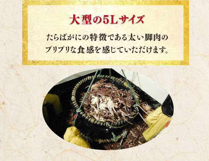 缶詰・海鮮品・冷凍食品の通販なら極洋公式通販サイト【年末特別