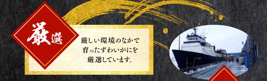 厳しい環境の中で育ったずわいがにを厳選しています。
