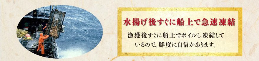 水揚げ後すぐに船上で急速凍結
