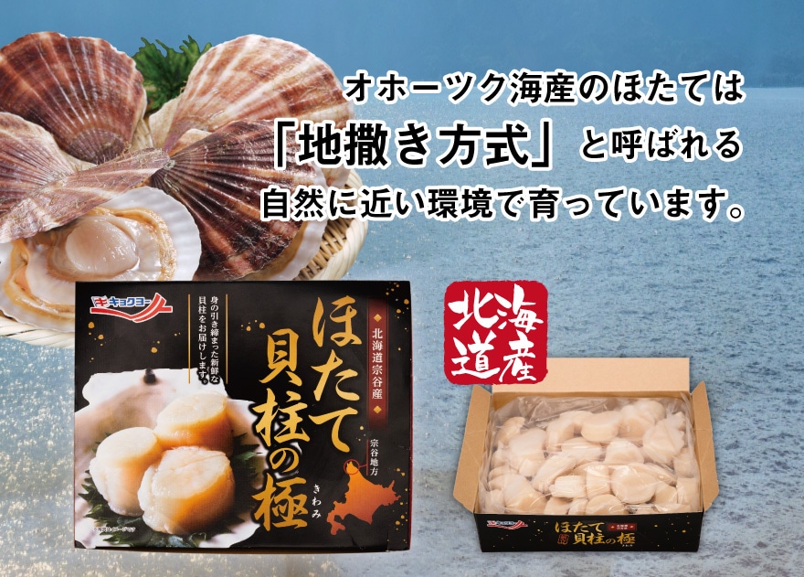 オホーツク海産のほたては「地撒き方式」と呼ばれる自然に近い環境で養殖されています。