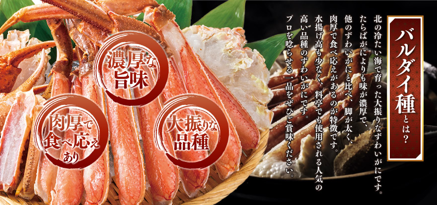 バルダイ種とは　濃厚な旨味　肉厚で食べ応えあり　大ぶりな品種