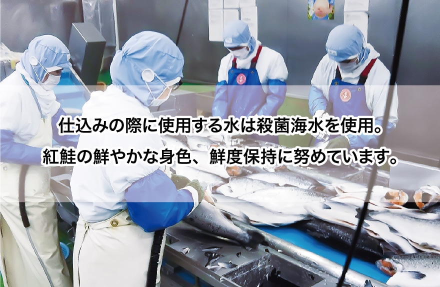 仕込みの際に使用する水は全て殺菌海水を使用。紅鮭の鮮やかな身色、鮮度保持に努めています。