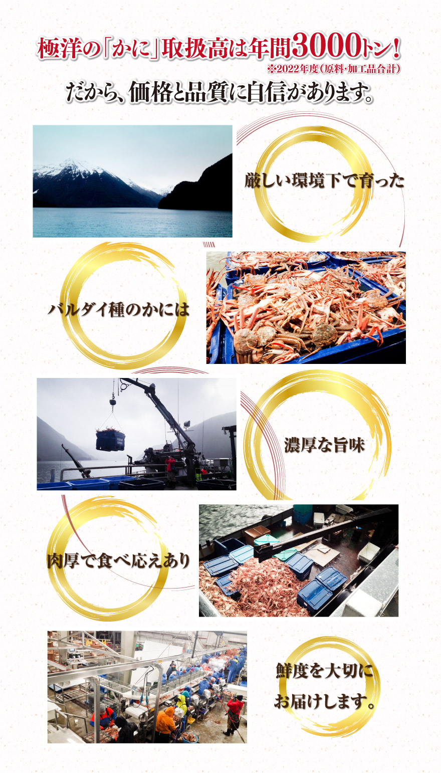 かにの旨味を楽しむなら「生ずわいがに」がおすすめです！