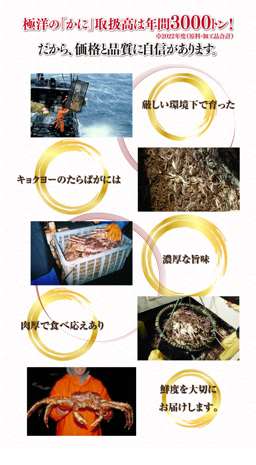 極洋の「かに」取扱高は年間3000トン
