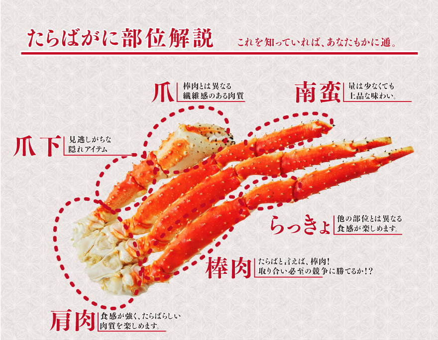 たらばがに部位解説