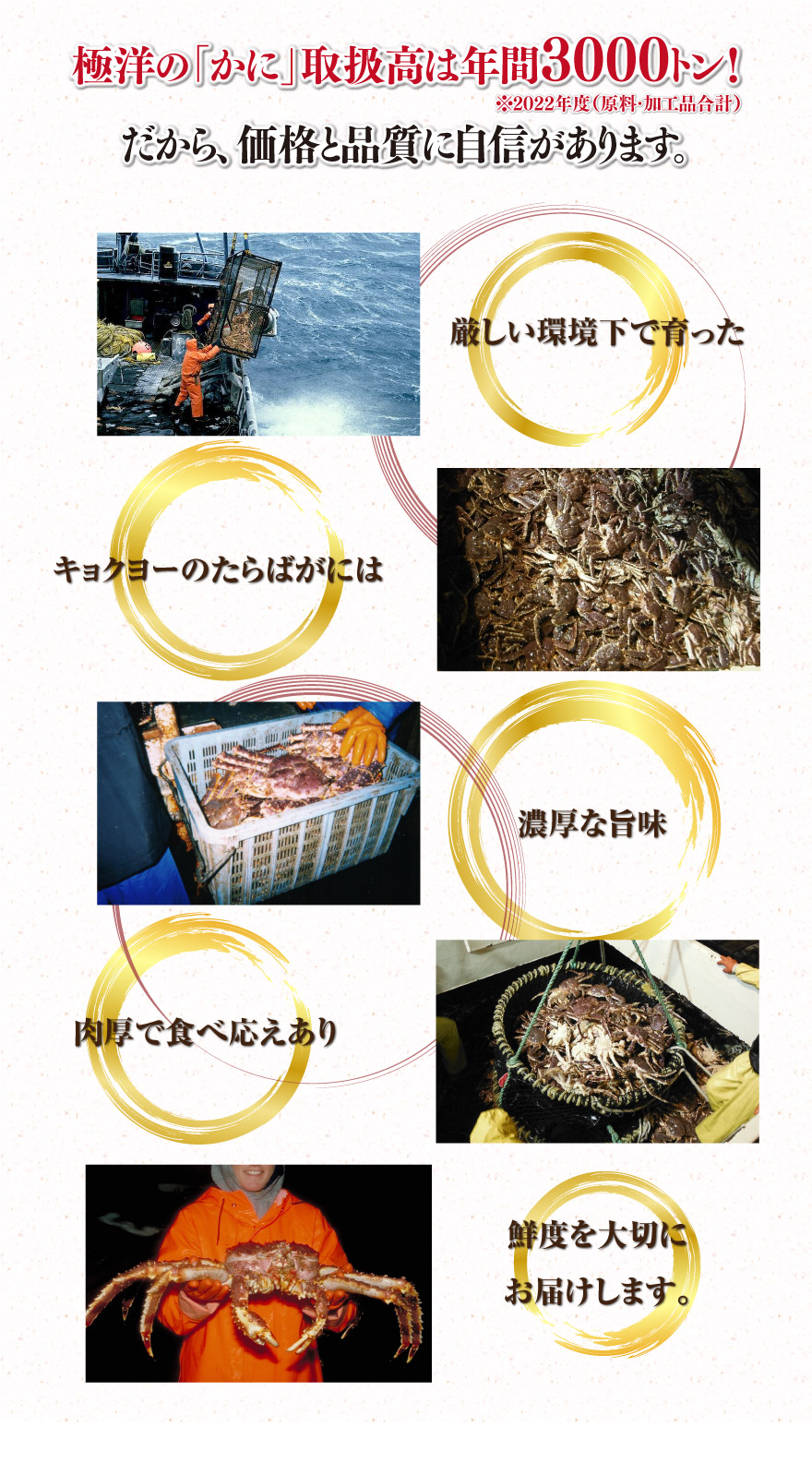 極洋の「かに」取扱高は年間3000トン！