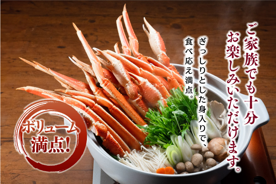 ボリューム満点