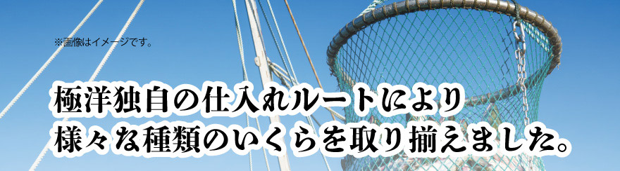 極洋独自の仕入ルートにより様々な種類のいくらを取り揃えました