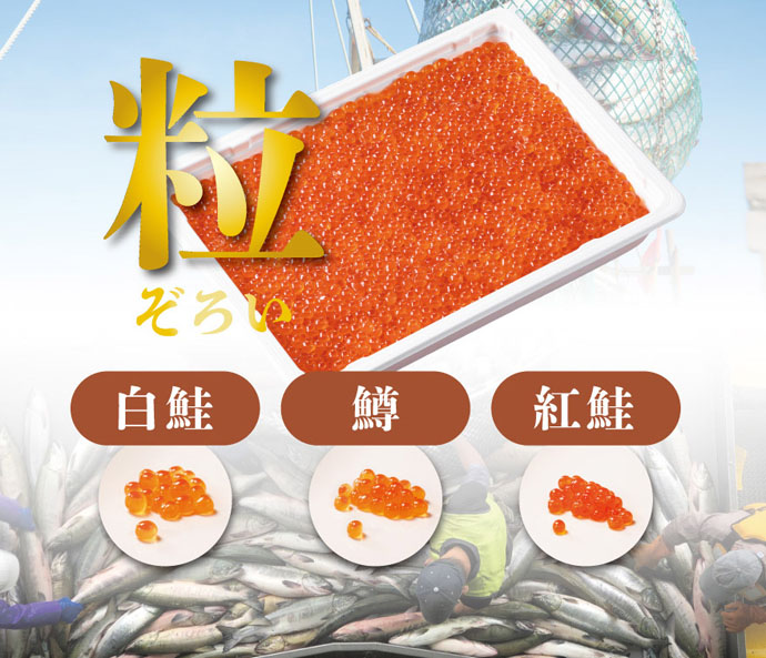 缶詰・海鮮品・冷凍食品の通販なら極洋公式通販サイト【年末特別商材