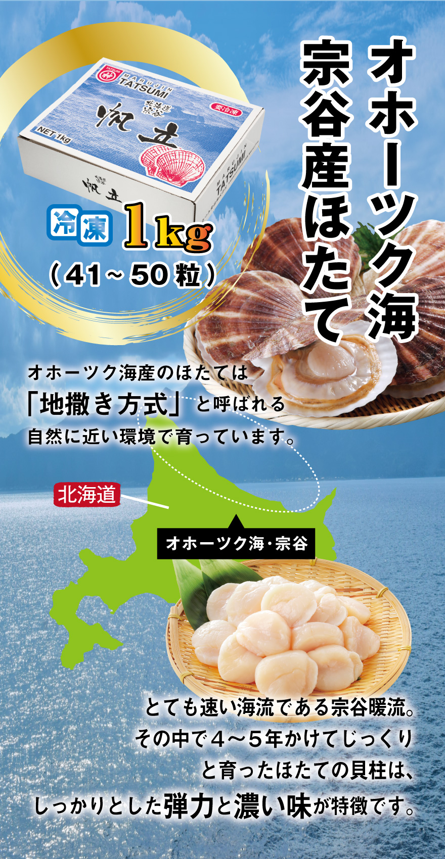 極洋が誇るオホーツク海宗谷産ほたて