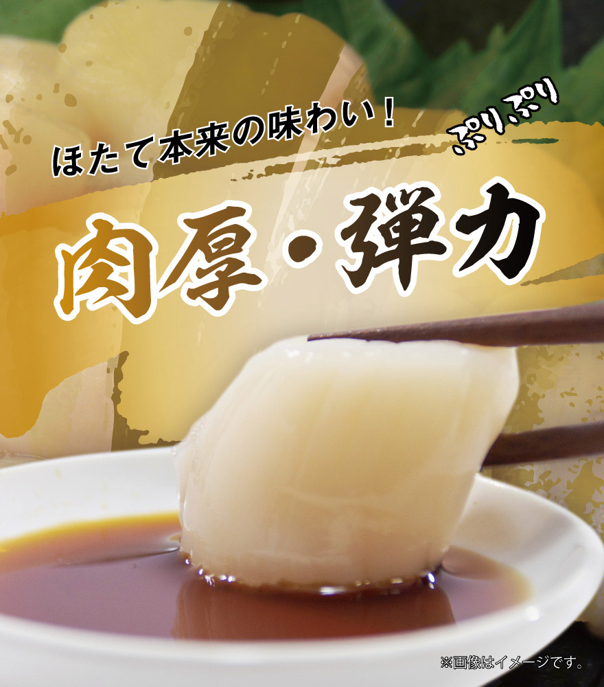 肉厚・弾力