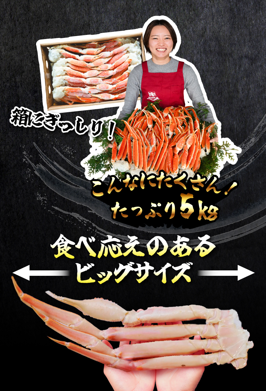 こんなにたくさん