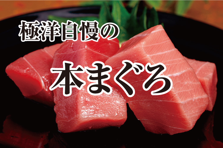 本鮪