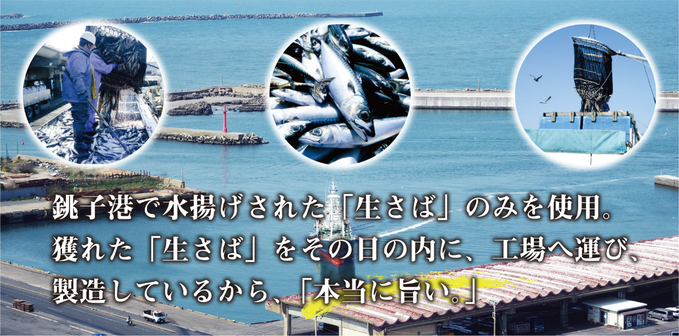 銚子港で水揚げされた「生さば」のみを使用。獲れた「生さば」をその日の内に、工場へ運び、製造しているから「本当に旨い。」