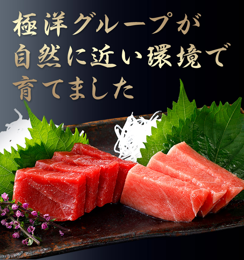 極洋グループが自然に近い環境で育てました